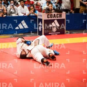 PANAMERICANO DE JIU-JITSU - JIUJITSU-386.jpg