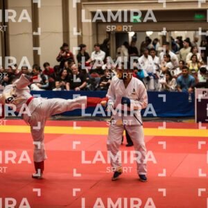 PANAMERICANO DE JIU-JITSU - JIUJITSU-39.jpg
