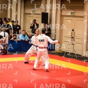 PANAMERICANO DE JIU-JITSU - JIUJITSU-4-1.jpg