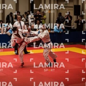 PANAMERICANO DE JIU-JITSU - JIUJITSU-4.jpg