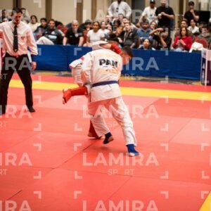 PANAMERICANO DE JIU-JITSU - JIUJITSU-405.jpg