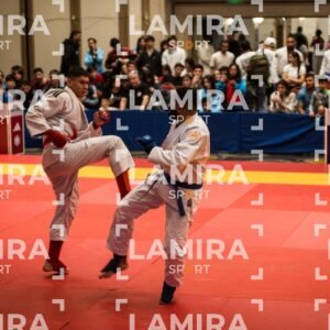 PANAMERICANO DE JIU-JITSU - JIUJITSU-43.jpg