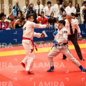 PANAMERICANO DE JIU-JITSU - JIUJITSU-436.jpg