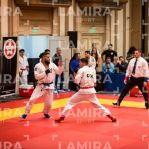 PANAMERICANO DE JIU-JITSU - JIUJITSU-447.jpg
