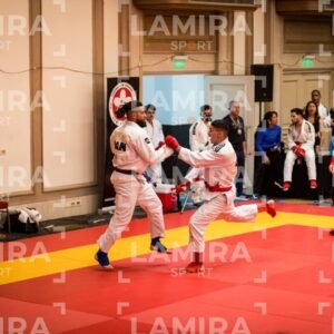 PANAMERICANO DE JIU-JITSU - JIUJITSU-450.jpg