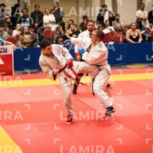 PANAMERICANO DE JIU-JITSU - JIUJITSU-460.jpg