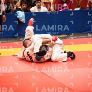 PANAMERICANO DE JIU-JITSU - JIUJITSU-489.jpg