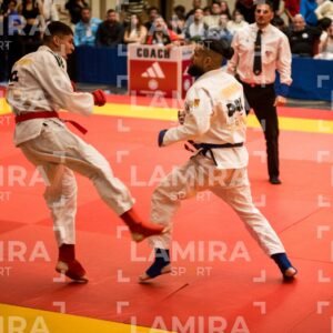 PANAMERICANO DE JIU-JITSU - JIUJITSU-503.jpg