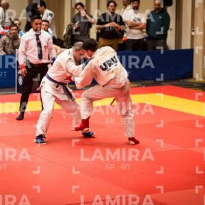 PANAMERICANO DE JIU-JITSU - JIUJITSU-509.jpg