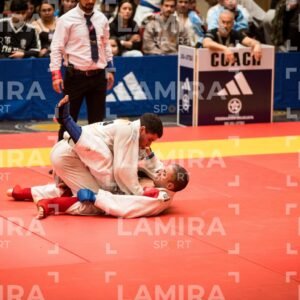 PANAMERICANO DE JIU-JITSU - JIUJITSU-516.jpg