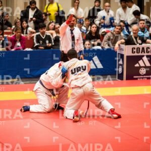 PANAMERICANO DE JIU-JITSU - JIUJITSU-535.jpg