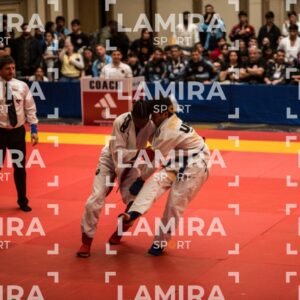 PANAMERICANO DE JIU-JITSU - JIUJITSU-54.jpg