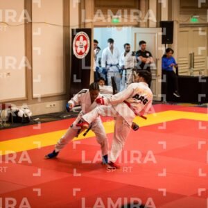 PANAMERICANO DE JIU-JITSU - JIUJITSU-566.jpg