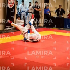 PANAMERICANO DE JIU-JITSU - JIUJITSU-589.jpg