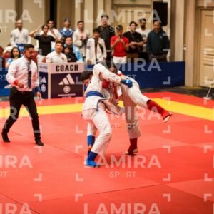 PANAMERICANO DE JIU-JITSU - JIUJITSU-598.jpg