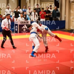 PANAMERICANO DE JIU-JITSU - JIUJITSU-599.jpg