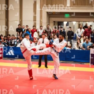PANAMERICANO DE JIU-JITSU - JIUJITSU-61-1.jpg