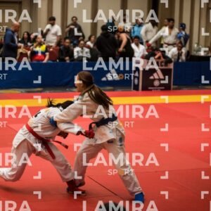PANAMERICANO DE JIU-JITSU - JIUJITSU-63.jpg