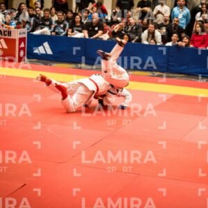 PANAMERICANO DE JIU-JITSU - JIUJITSU-725.jpg