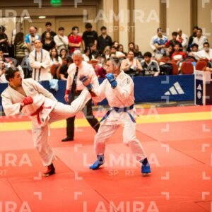 PANAMERICANO DE JIU-JITSU - JIUJITSU-762.jpg