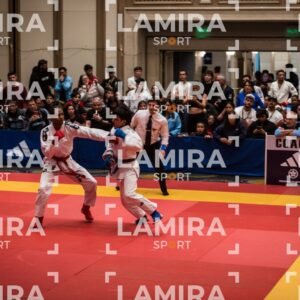 PANAMERICANO DE JIU-JITSU - JIUJITSU-83.jpg
