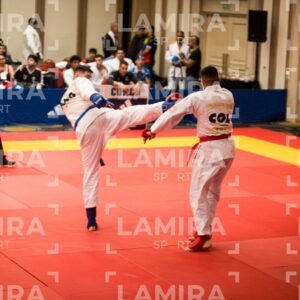 PANAMERICANO DE JIU-JITSU - JIUJITSU-852.jpg