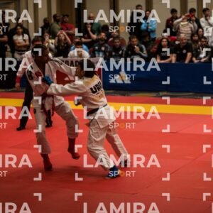 PANAMERICANO DE JIU-JITSU - JIUJITSU-93.jpg