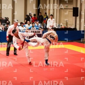 PANAMERICANO DE JIU-JITSU - JIUJITSU-931.jpg