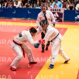 PANAMERICANO DE JIU-JITSU - JIUJITSU-956.jpg