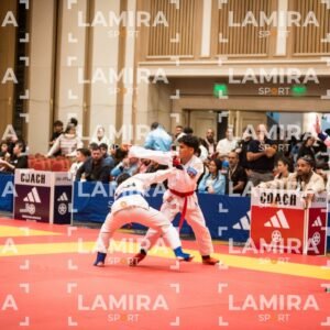 PANAMERICANO DE JIU-JITSU - JIUJITSU-10.jpg