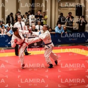 PANAMERICANO DE JIU-JITSU - JIUJITSU-101.jpg