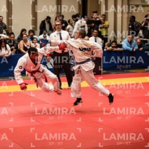 PANAMERICANO DE JIU-JITSU - JIUJITSU-102.jpg