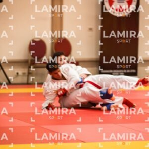 PANAMERICANO DE JIU-JITSU - JIUJITSU-110.jpg