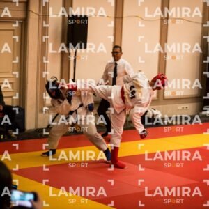 PANAMERICANO DE JIU-JITSU - JIUJITSU-113.jpg