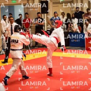 PANAMERICANO DE JIU-JITSU - JIUJITSU-128.jpg