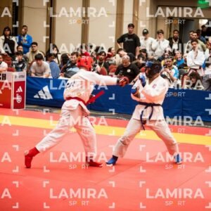 PANAMERICANO DE JIU-JITSU - JIUJITSU-134.jpg