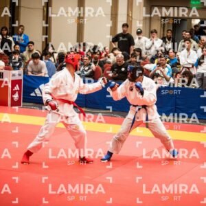 PANAMERICANO DE JIU-JITSU - JIUJITSU-135.jpg