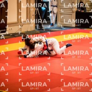 PANAMERICANO DE JIU-JITSU - JIUJITSU-15.jpg