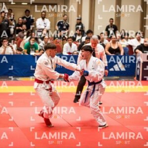 PANAMERICANO DE JIU-JITSU - JIUJITSU-150.jpg