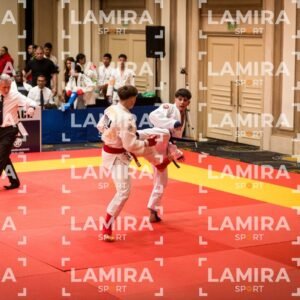 PANAMERICANO DE JIU-JITSU - JIUJITSU-155.jpg