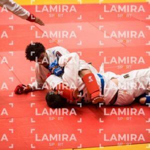 PANAMERICANO DE JIU-JITSU - JIUJITSU-16-1.jpg