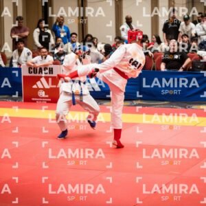 PANAMERICANO DE JIU-JITSU - JIUJITSU-166.jpg