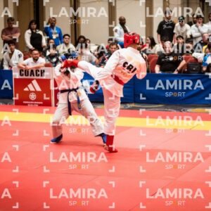 PANAMERICANO DE JIU-JITSU - JIUJITSU-167.jpg
