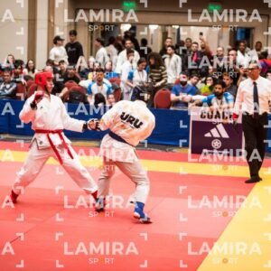 PANAMERICANO DE JIU-JITSU - JIUJITSU-180.jpg