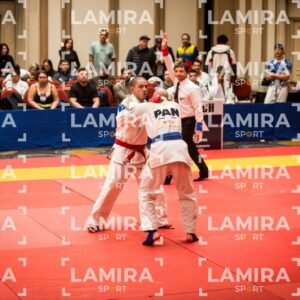PANAMERICANO DE JIU-JITSU - JIUJITSU-207.jpg