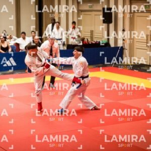 PANAMERICANO DE JIU-JITSU - JIUJITSU-221.jpg