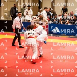 PANAMERICANO DE JIU-JITSU - JIUJITSU-225.jpg