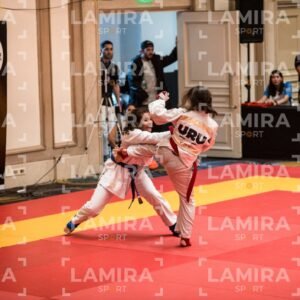 PANAMERICANO DE JIU-JITSU - JIUJITSU-23-2.jpg