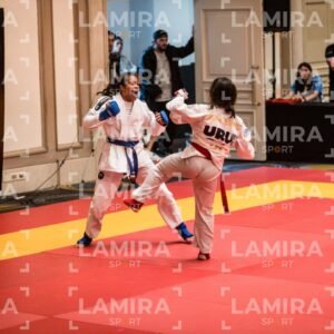 PANAMERICANO DE JIU-JITSU - JIUJITSU-24-2.jpg