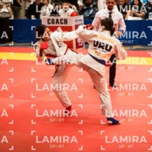 PANAMERICANO DE JIU-JITSU - JIUJITSU-24.jpg